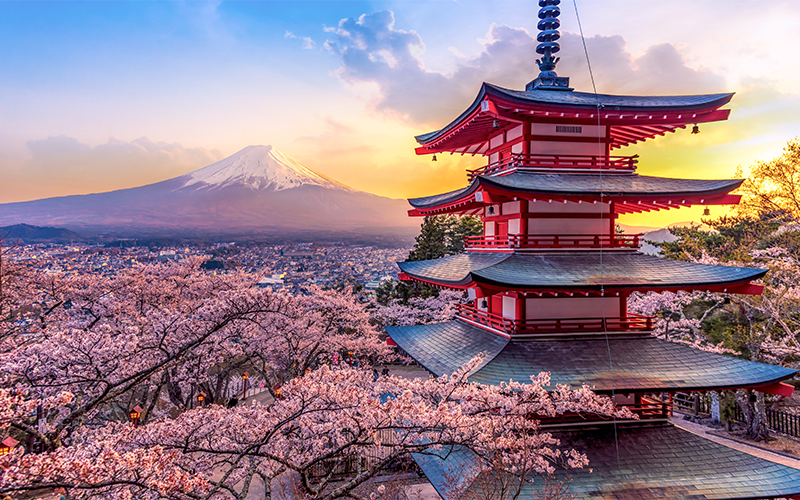 A traditional Japanese pagoda stands among blooming cherry blossom trees, with Mount Fuji in the background under a colorful sunset sky.