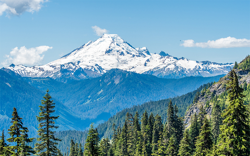 Snow-capped mountain peak rises above forested hills under a blue sky with scattered clouds; tall evergreen trees fill the foreground.