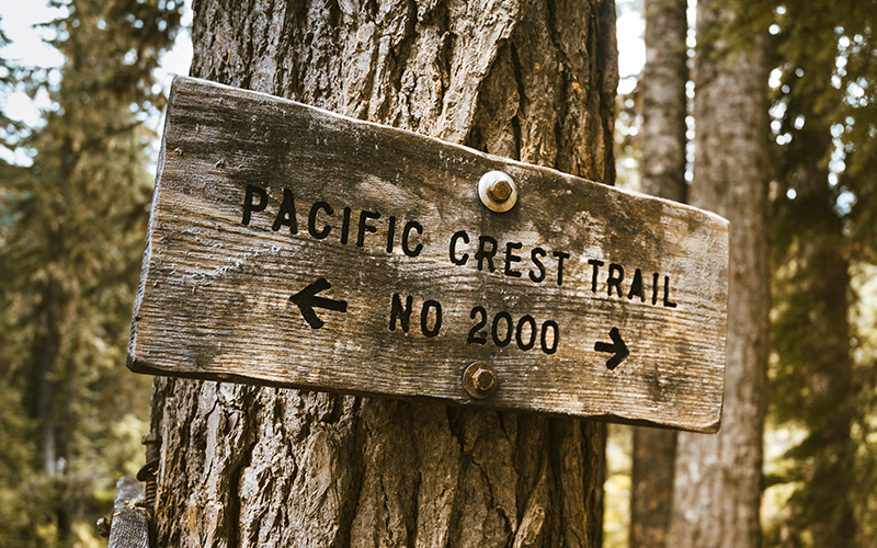 A weathered wooden sign reading Pacific Crest Trail No 2000 with arrows pointing left and right, mounted on a tree in a forested area.