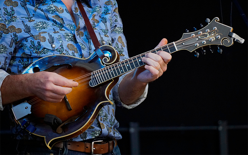 A person wearing a blue shirt with cactus patterns is playing a brown mandolin.