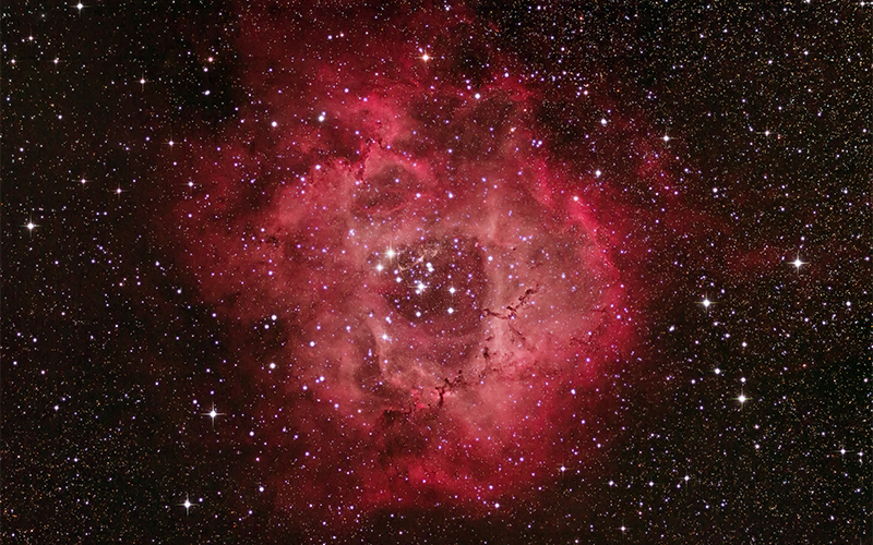 A bright, red nebula with a circular shape glows against a backdrop of countless stars in deep space. The nebulas center appears darker, giving it a rose-like appearance.